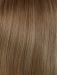 Bernstein Balayage (10/16/27+10)